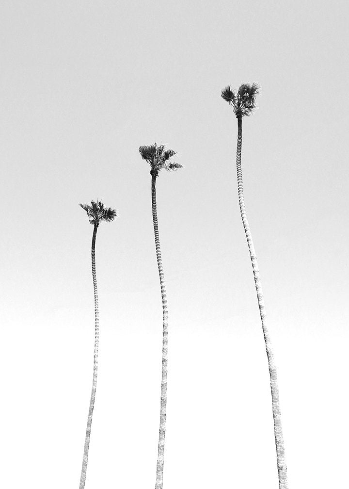 The Magnesium and Calcium Combination: A Dynamic Duo for Your Health