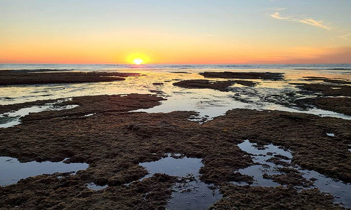 Flossing for Brain Health