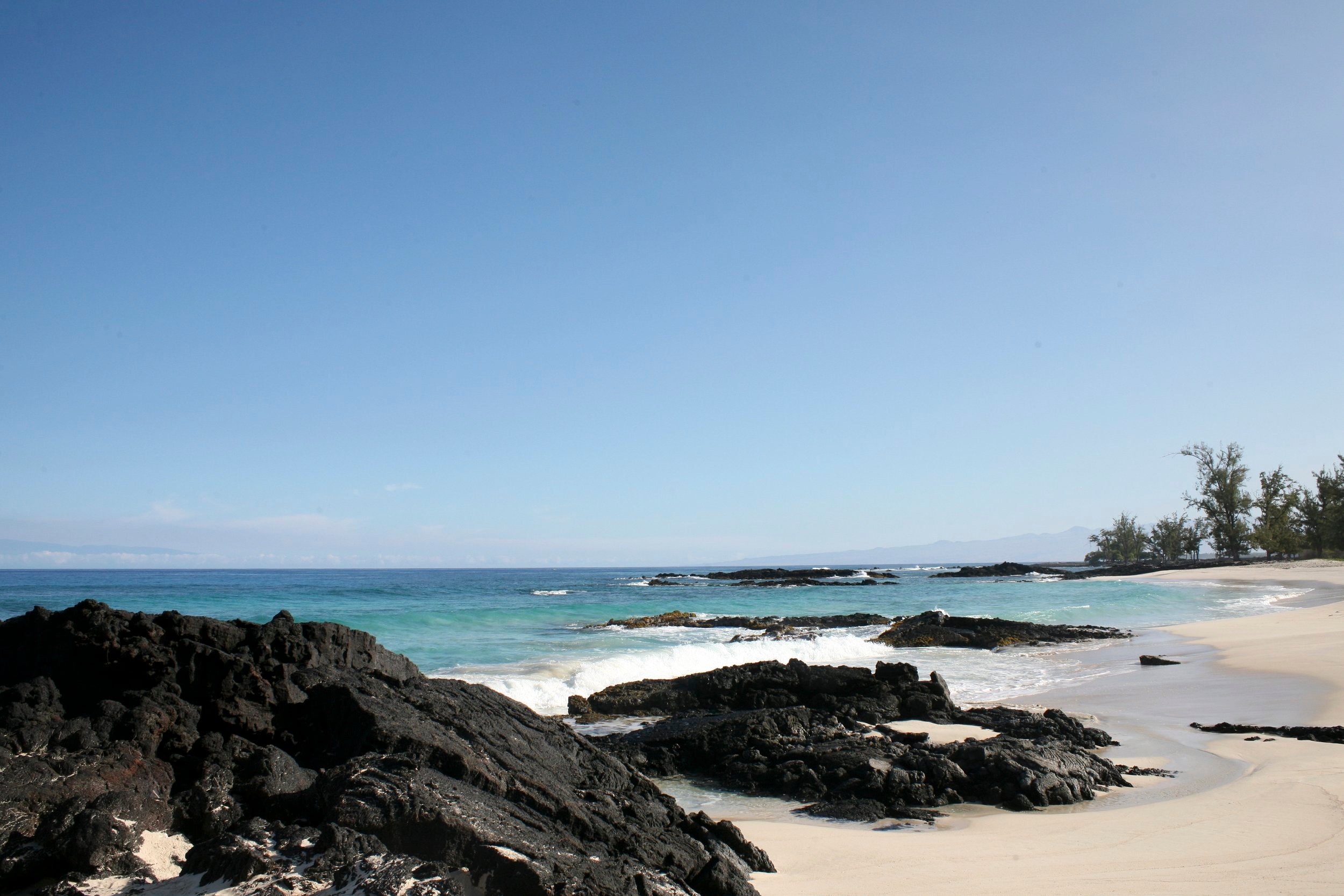 Rebounding for Lymphatic Drainage: A Fun and Effective Way to Detox