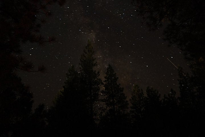 Sleep for Brain Detoxification