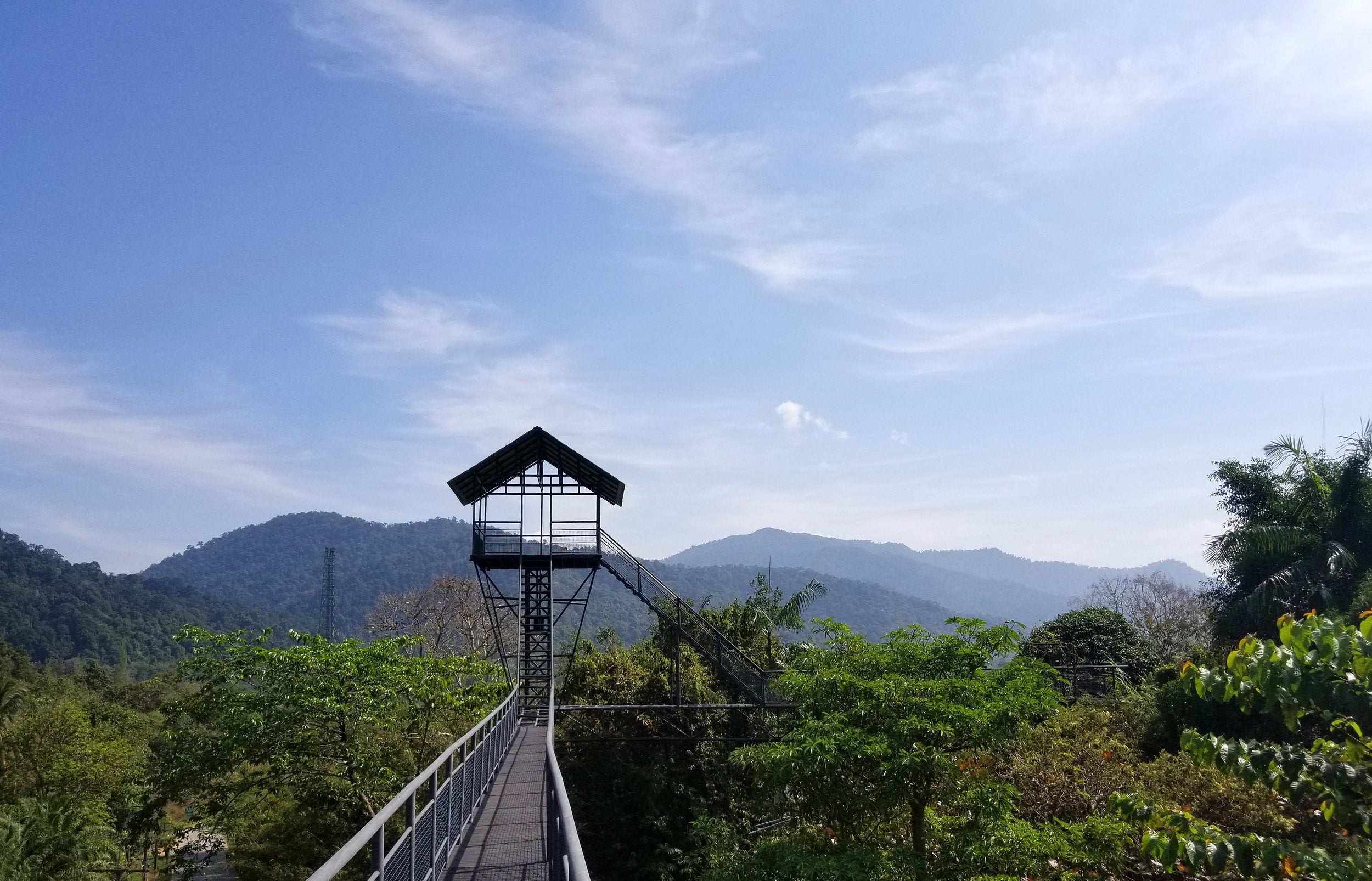 Signs Of Magnesium Deficiency