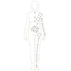 Diagram fro body gua sha ritual