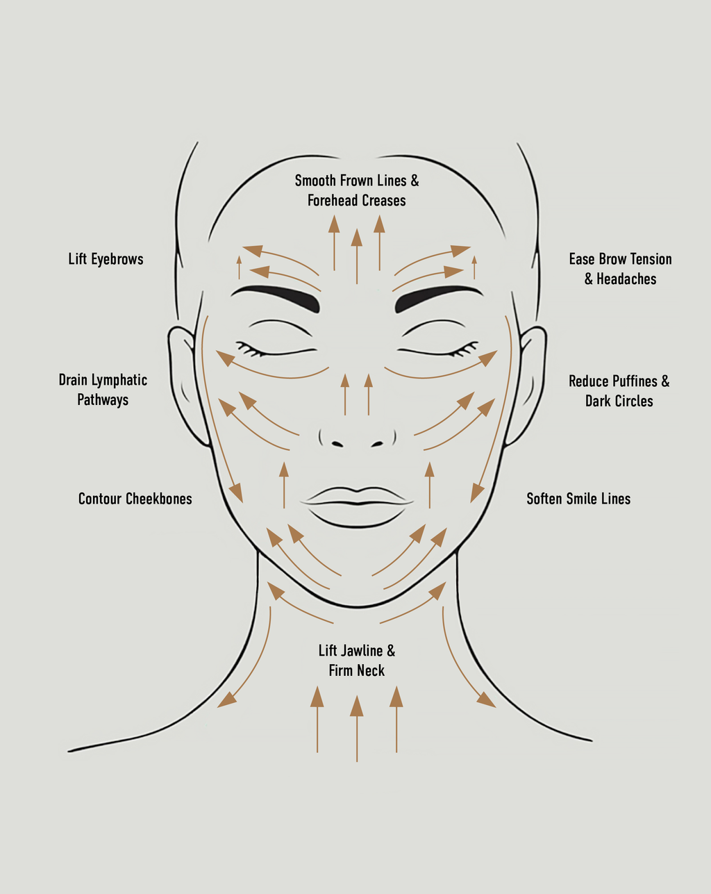 Diagram of facial massage lines on a gray background