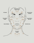 Diagram of facial massage lines on a gray background